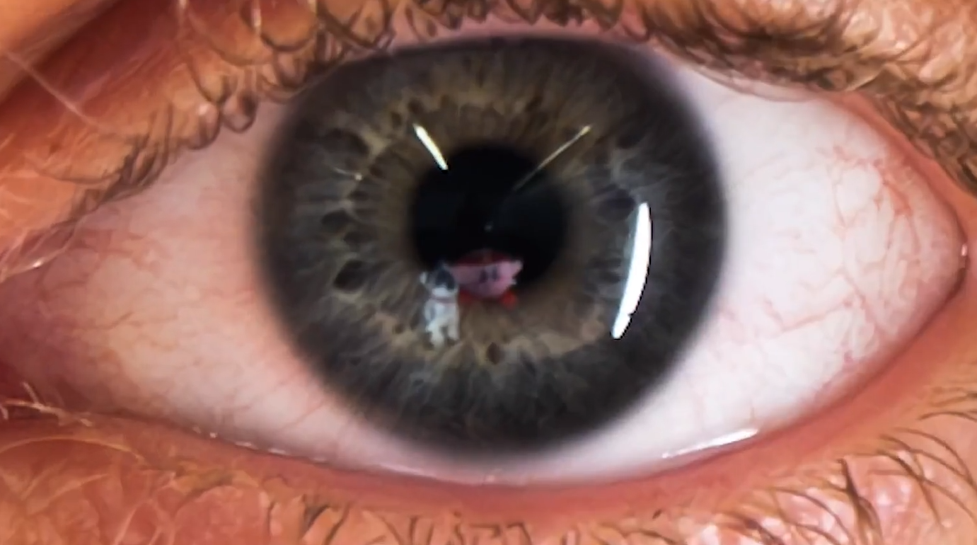 Preview for Seeing the World through Your Eyes