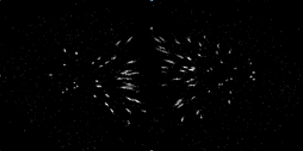 Preview for 3D fluorescence deconvolution with deep priors